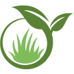 Rockford Lawn Clean Up