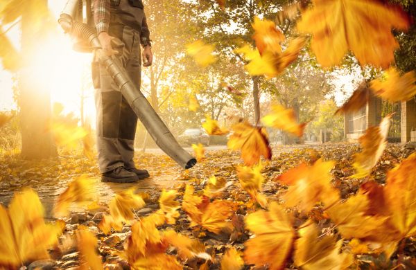 Leaf Blowing Service in Rockford