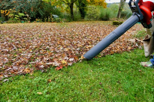 Leaf Vacuuming Service in Rockford