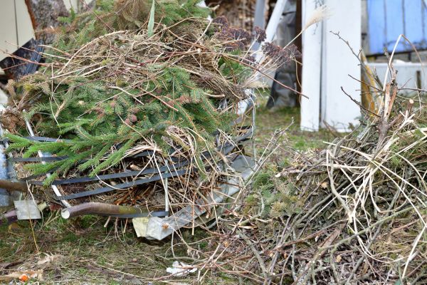 Yard Debris Removal in Rockford