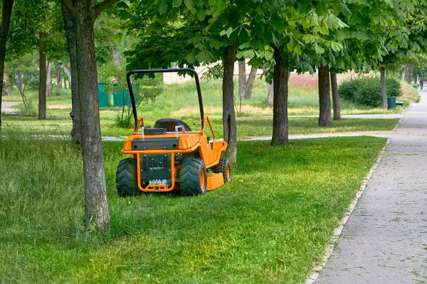 Landscaping Cleanup Service in Rockford