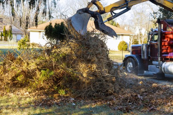 Storm Debris Removal in Rockford
