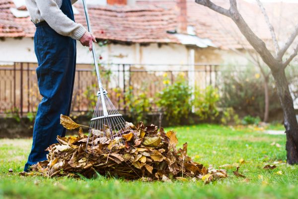 Spring Lawn Cleanup in Rockford