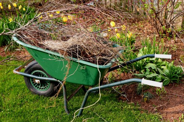 Lawn Waste Removal in Rockford