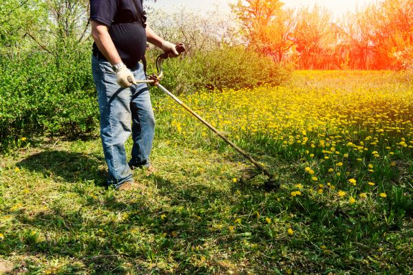 Cost of Yard Clearing Service in Rockford