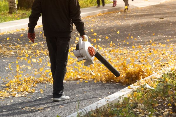 Commercial Leaf Removal in Rockford