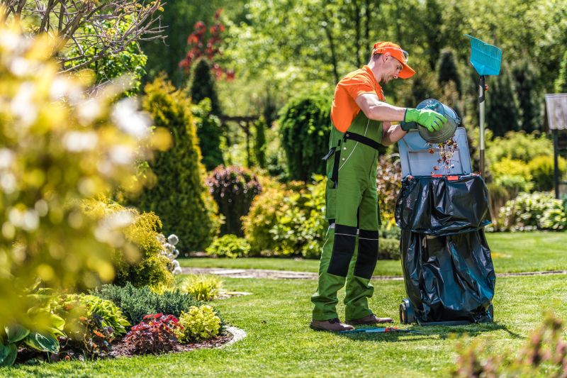Spring Lawn Clean Up